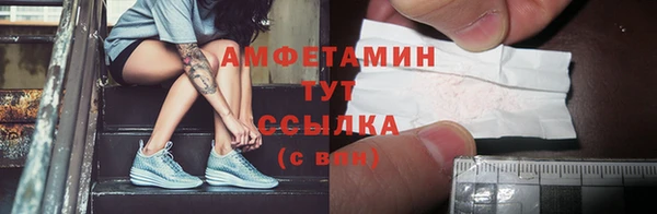 шишки Вязники