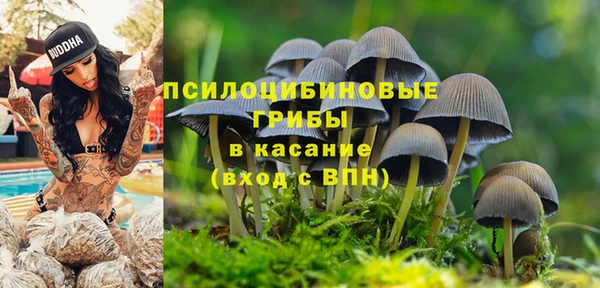 хмурый Новодвинск