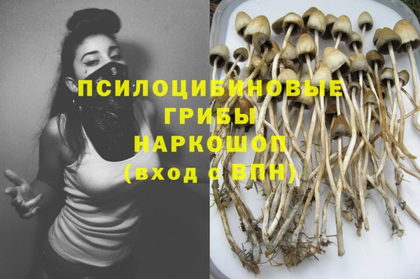 шишки Вязники