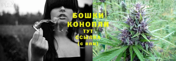 трава Няндома