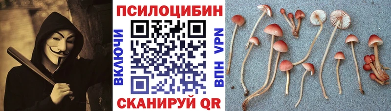 Галлюциногенные грибы Psilocybine cubensis  Кольчугино 