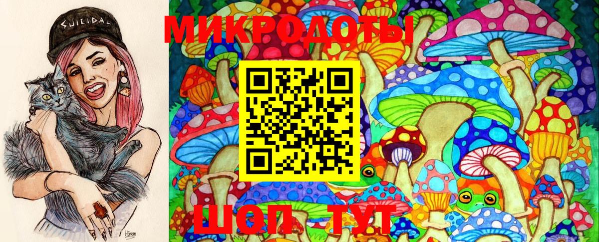 Галлюциногенные грибы Magic Shrooms  магазин    Кольчугино  Галлюциногенные грибы Psilocybe 